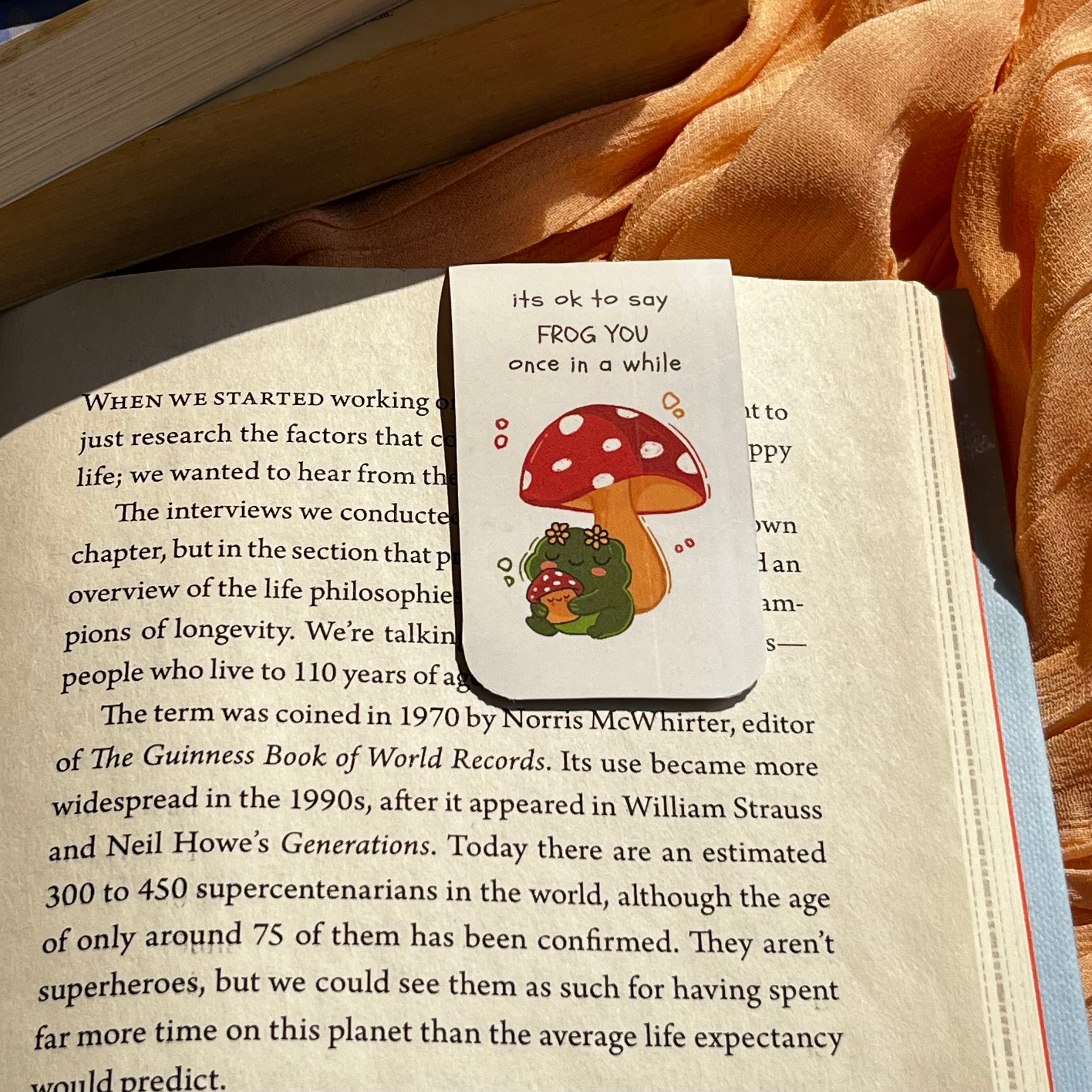 Froggy Days- Magnetic Bookmark Set