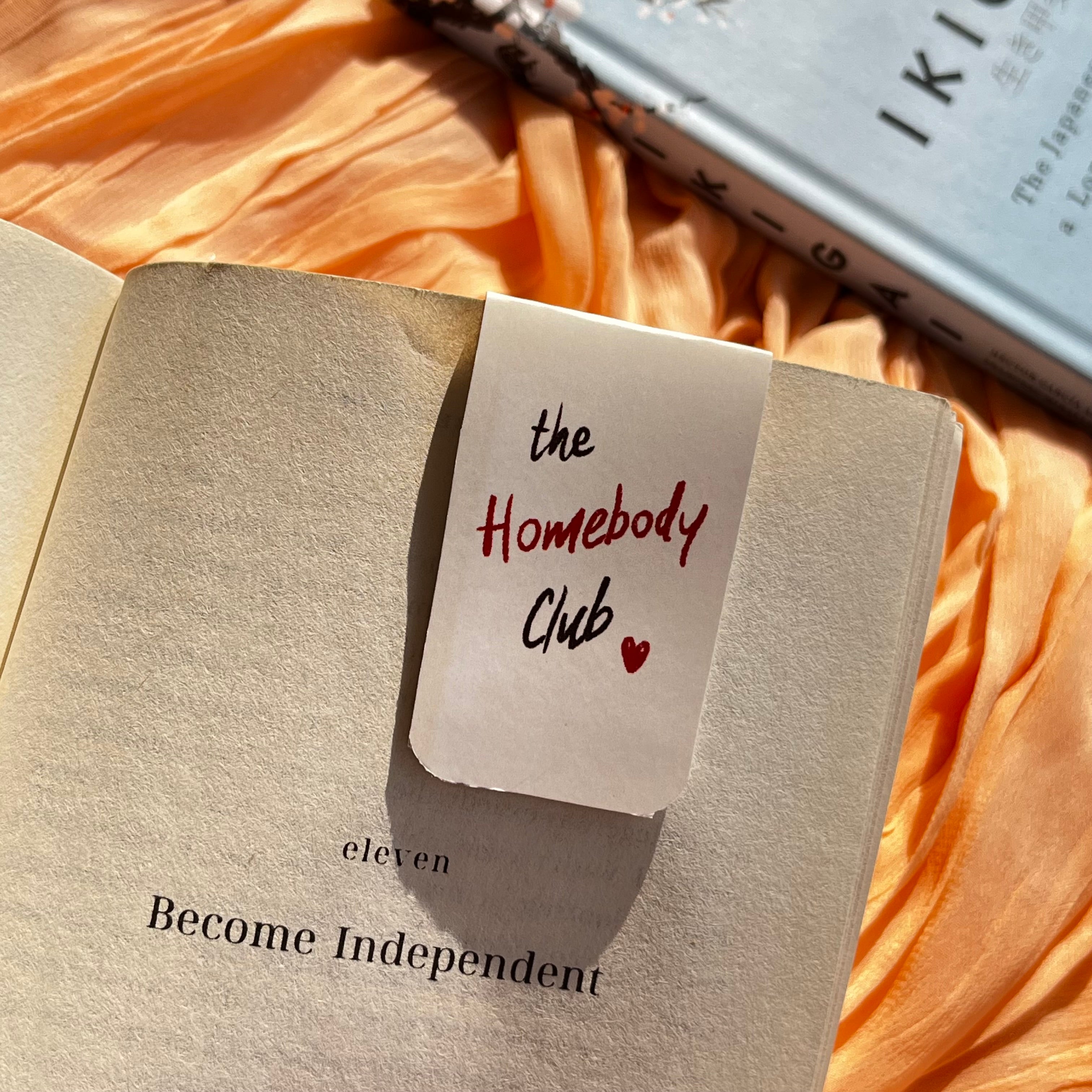 The Vibe Check- Magnetic Bookmark Set