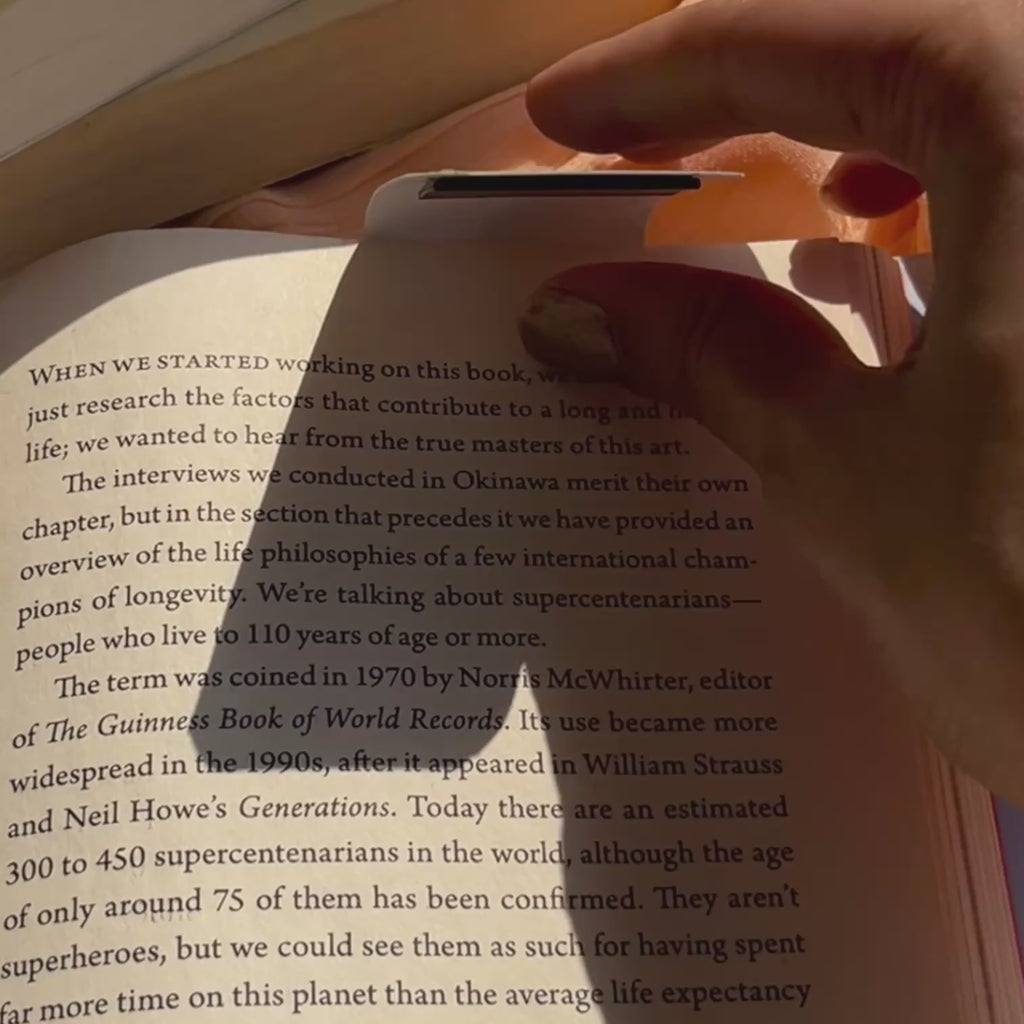 Froggy Days- Magnetic Bookmark Set